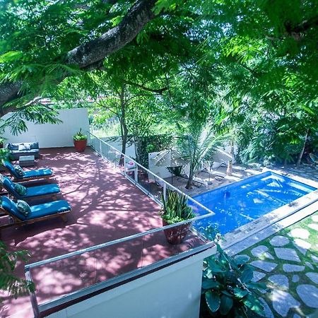 Villas Parota Inn Нуэво-Вальярта Экстерьер фото